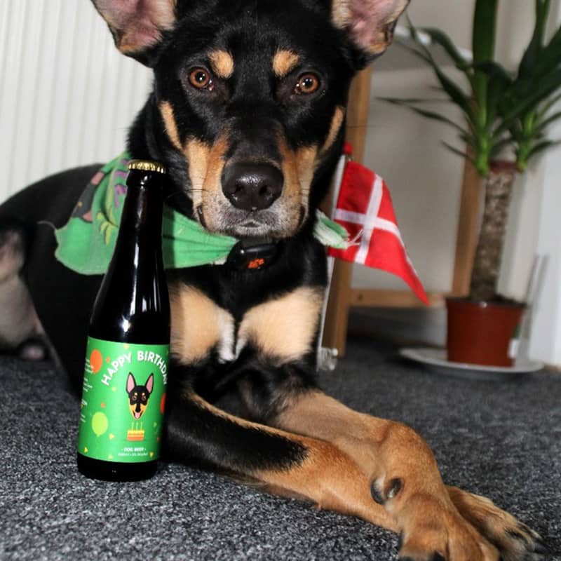 Personalised Dog Birthday Beer and Bandana
