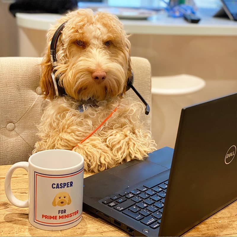 Casper with his Personalised Prime Minister Mug