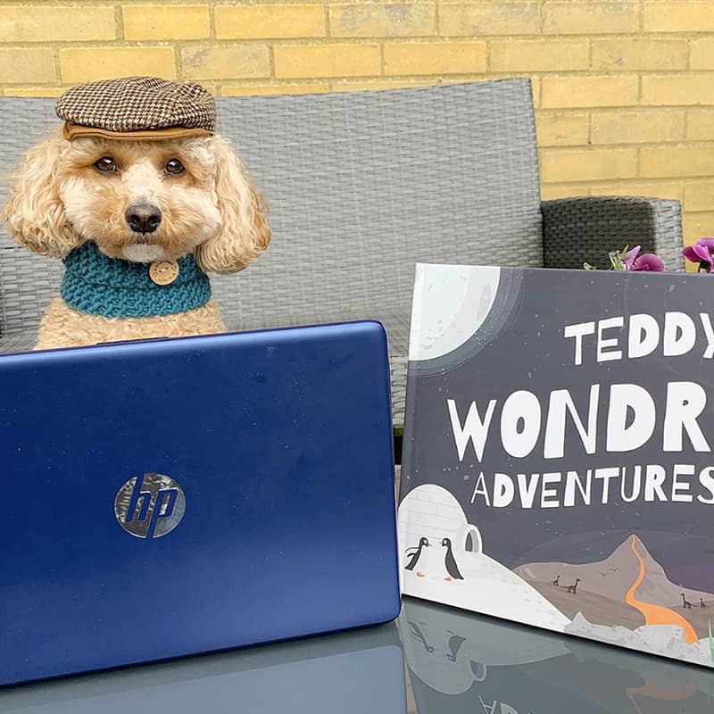Teddy with his Personalised Wondrous Adventures Book