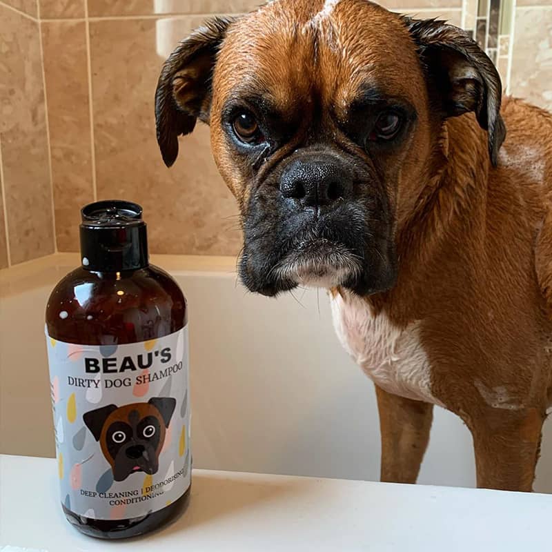 Beau with his Dog Shampoo