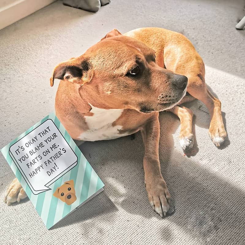 Oso with his Personalized Father's Day Card