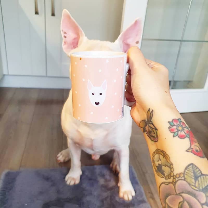 A Pitbull with a Personalized Mug