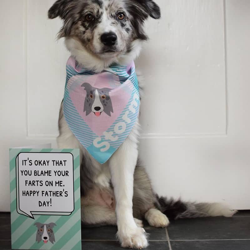 Storm with his Personalized Bandana and Card