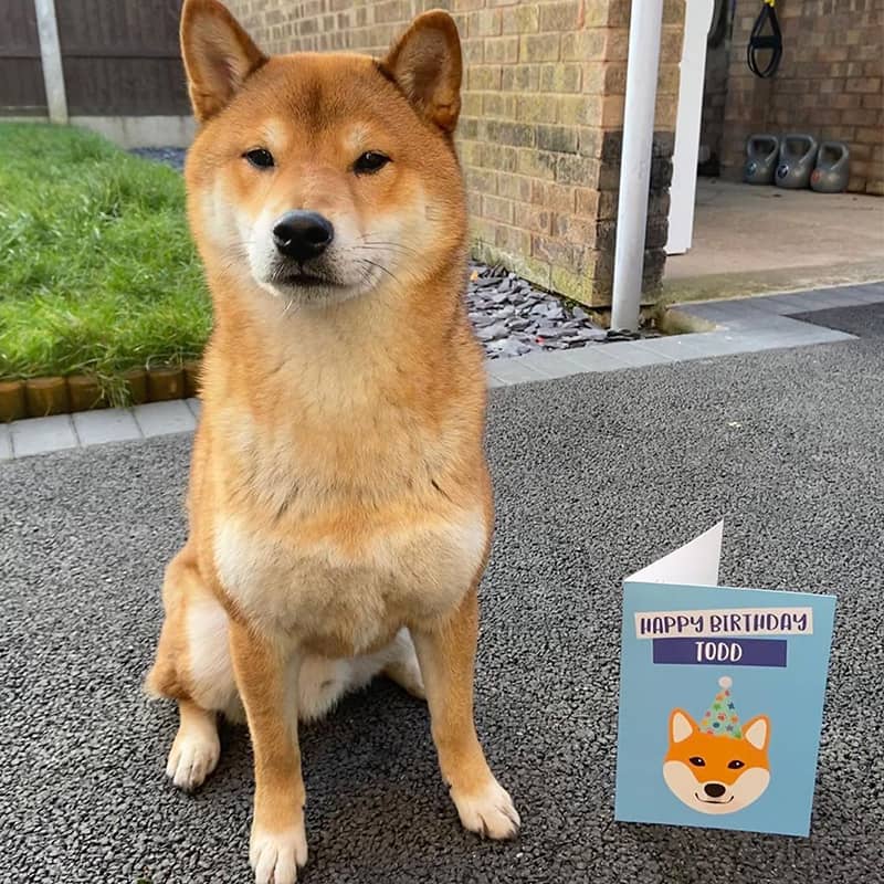 Todd with a Personalized Birthday Card for his Human