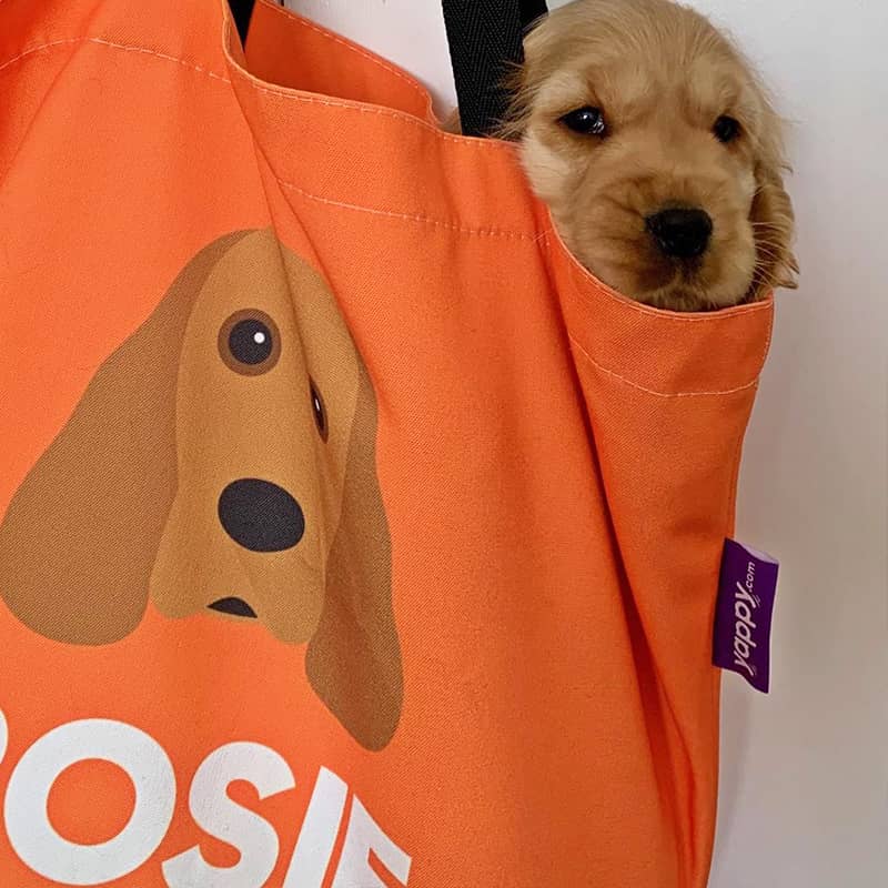 Rosie with her Personalized Name and Icon Bag