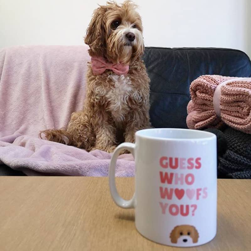 Rupert with his 'Guess who woofs you' Personalised Mug
